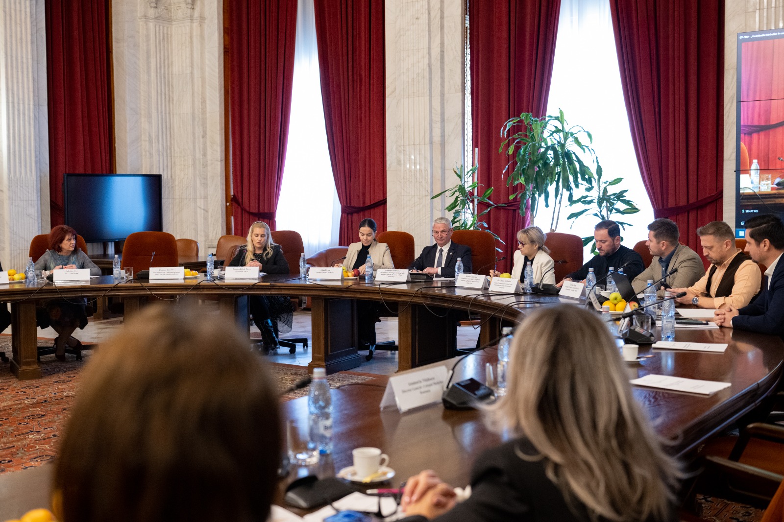 „Contribuțiile bărbaților în comunitate, familie, căsătorie și grija acestora față de copii”, conferință cu prilejul zilei bărbatului